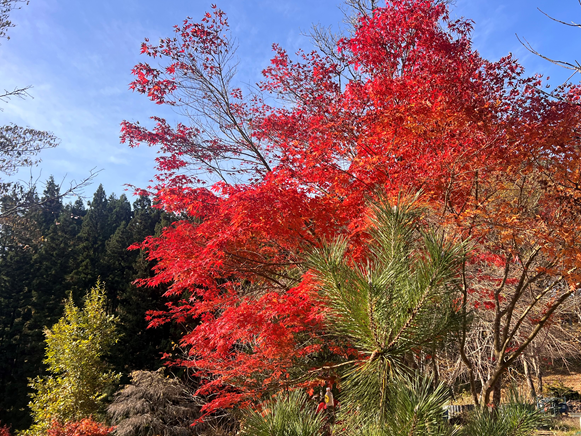 月刊アミゼ新聞254号